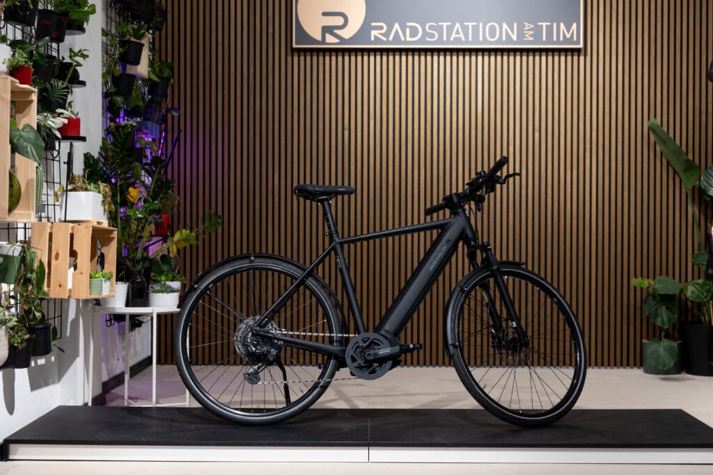 Riese & Müller Roadster4 touring E-Bike